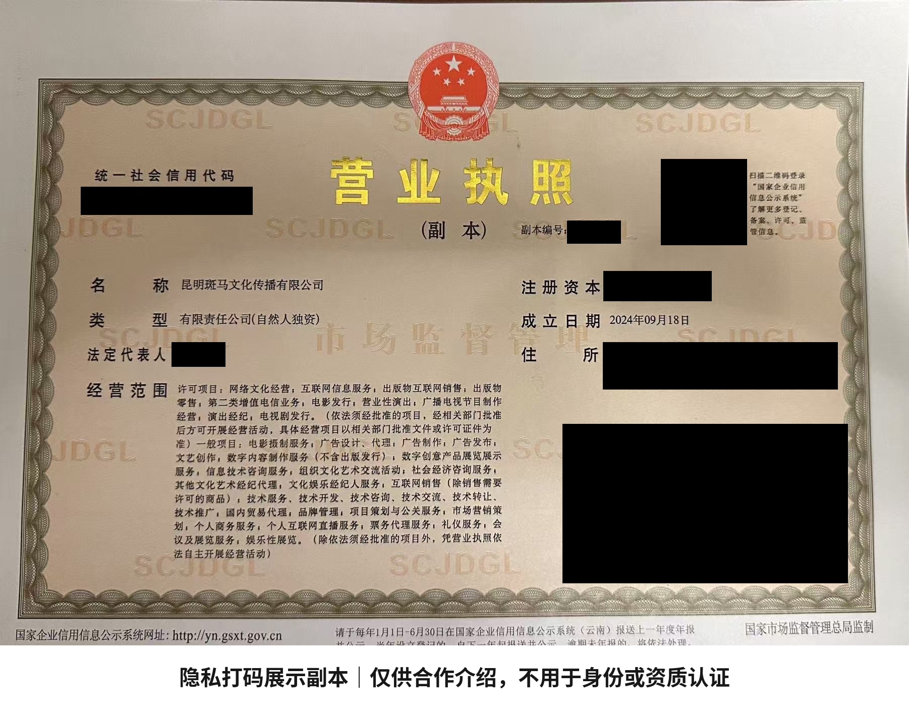 Redacted company document